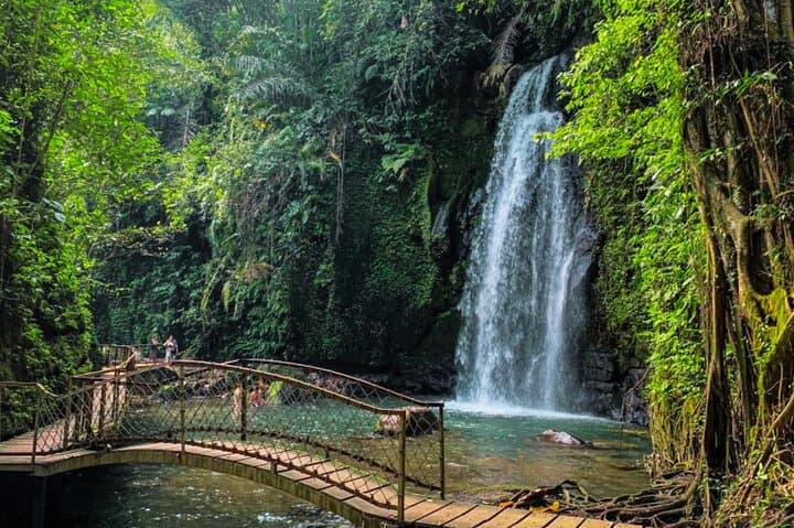 Private Ubud Tour: Monkey Forest, Tegalalang Rice Terraces & Coffee Plantation photo 6