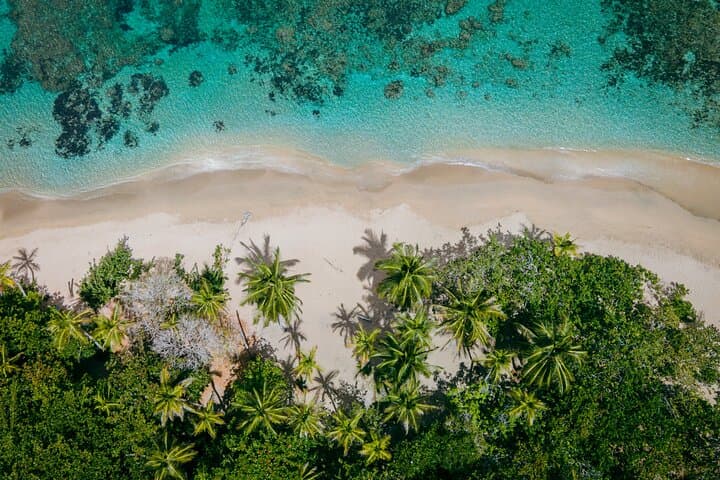Clear-Kayak-Tour-Punta-Uva-Caribbean-Costa-Rica photo 6