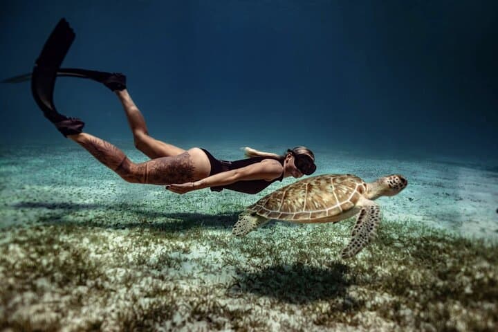 Private Turtle Snorkel in Aruba: Guided Turtle-Spotting Excursion with Pro Video photo 6