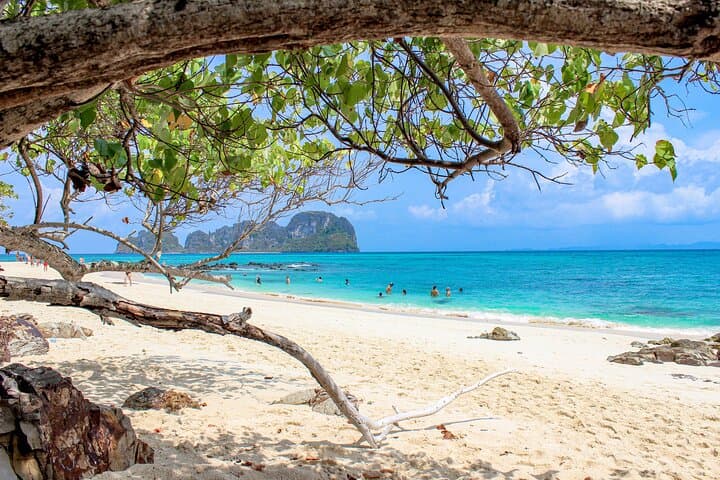 Phi Phi Islands Private Speedboat Charter: Full-Day Snorkel & Lagoon Adventure photo 4