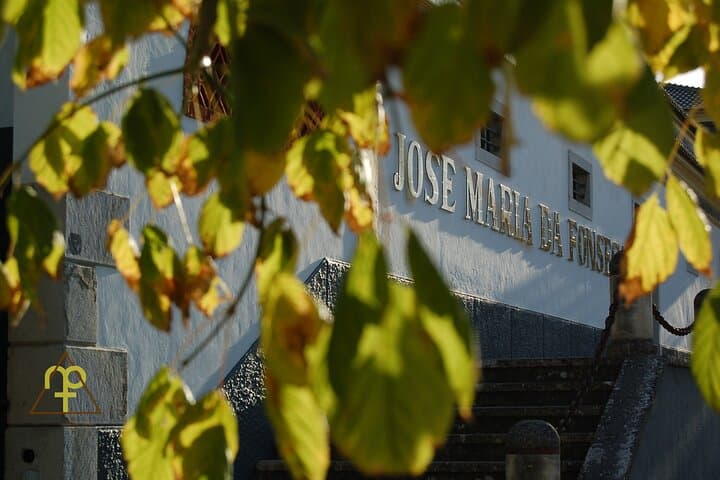 Private Arrabida Wine Tour from Lisbon with Cheese & Market Tasting photo 3