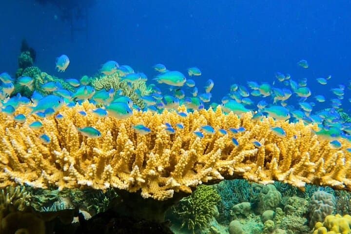 Rangko Cave & Boleng Beach Half-Day Snorkel from Labuan Bajo photo 4