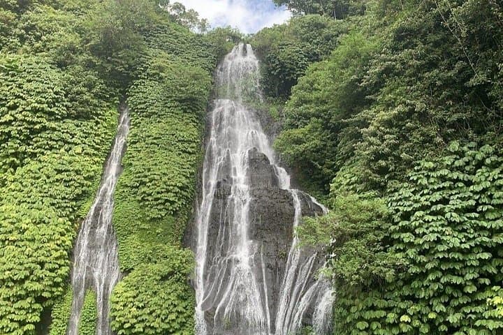 Sunrise Dolphins & Highland Temples: Lovina Beach to Bedugul Day Tour photo 2
