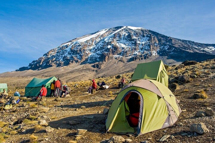 Climb Kilimanjaro: 7-Day Machame Route Guide for Summit Success photo 3