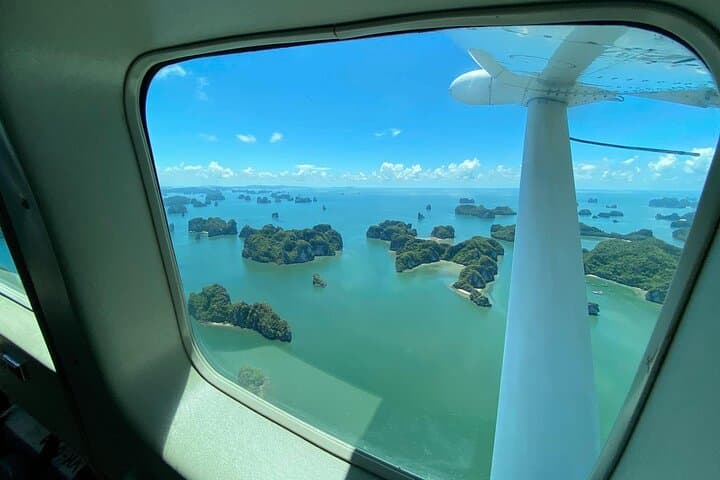 Halong Bay Seaplane & Luxury Day Cruise — Scenic Sky Flight and Heritage Cruise photo 6