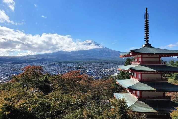 Mount Fuji & Hakone Private Day Trip from Tokyo — Lake Ashi Cruise, Owakudani & Ropeway photo 6