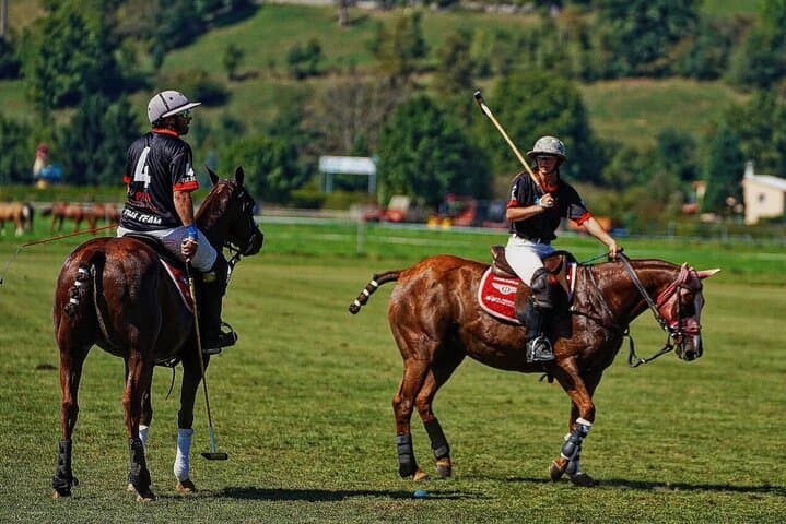 Private Polo Lesson in Baden-Württemberg: Introductory Hour at a Polo Estate photo 3