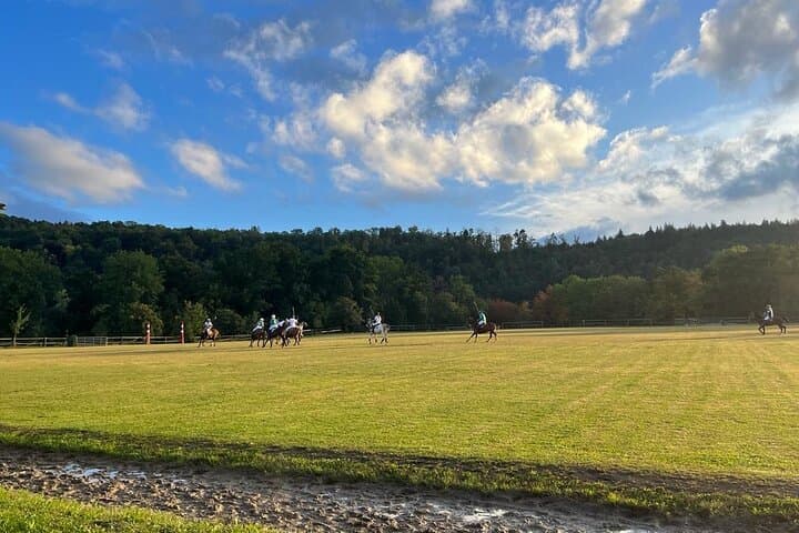 Private Polo Lesson in Baden-Württemberg: Introductory Hour at a Polo Estate photo 2