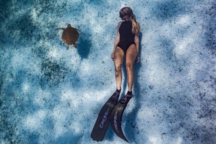 Private Turtle Snorkel in Aruba: Guided Turtle-Spotting Excursion with Pro Video photo 5