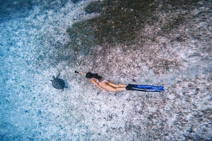 Private Turtle Snorkel in Aruba: Guided Turtle-Spotting Excursion with Pro Video photo 3