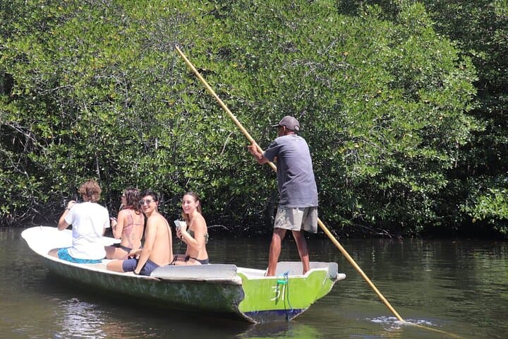 Explore Nusa Lembongan Mangroves by Kayak or SUP: A Quiet Coastal Adventure photo 3