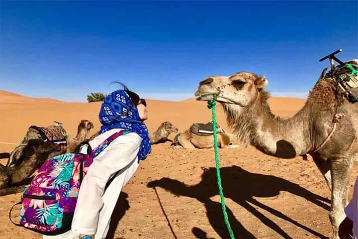 Guided 2-Day Zagora Sahara Tour from Marrakech — Camel Ride & Desert Camp photo 4