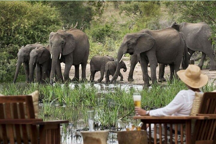 Hluhluwe-Imfolozi Full-Day Safari from Durban: Big Five Game Drive