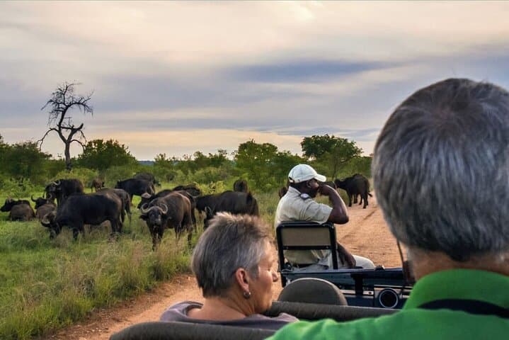 Hluhluwe-Imfolozi Full-Day Safari from Durban: Big Five Game Drive photo 2