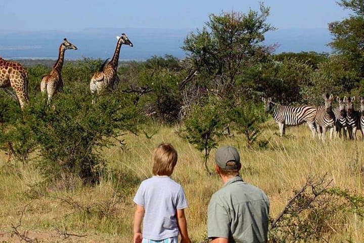 Cape Town to Durban: 7-Day Garden Route & Wild Coast Coastal Adventure photo 4