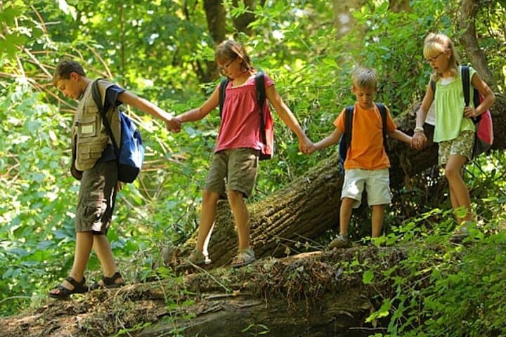 Drakensberg Mountains Full-Day Tour from Durban: Howick Falls, Mandela Capture Site & Hike