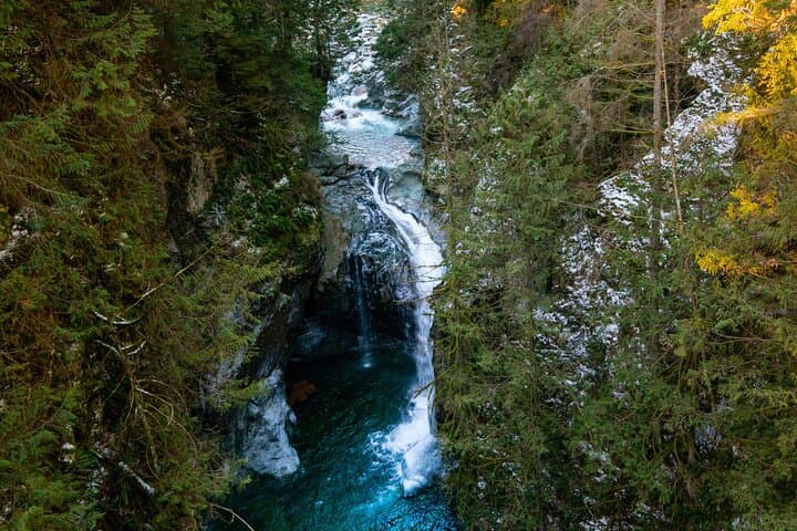 Lynn Canyon and Quarry Rock Private Tour — Suspension Bridge to Deep Cove Hike photo 3