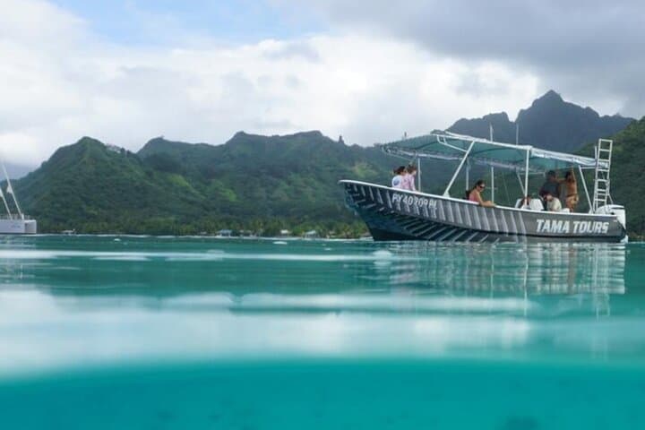 Half-Day Humpback Encounter in Moorea — Swim Respectfully with Calving Whales photo 2
