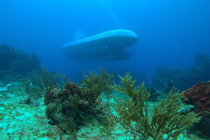 Atlantis Submarine Cozumel: Dive the Chankanaab Reef and Sunken Wrecks