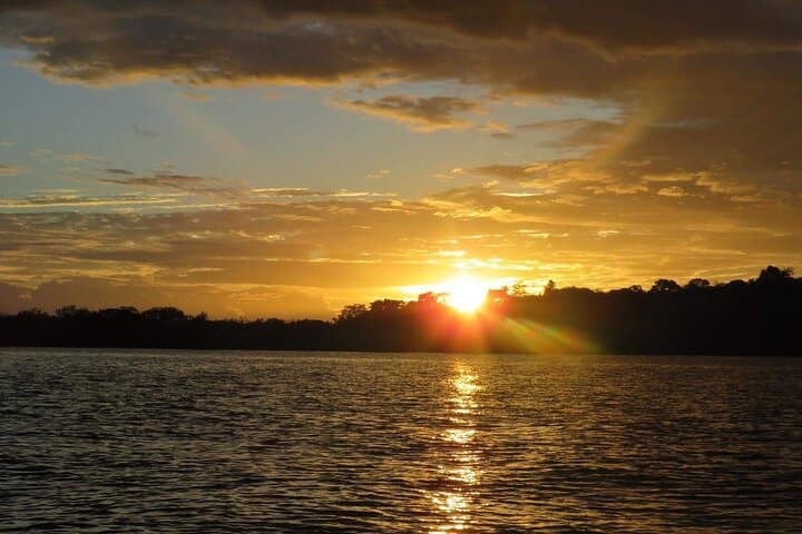 Ecuadorian Amazon Wildlife Tour: 4-Day Cuyabeno Reserve Experience photo 5