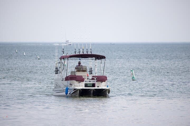 Private Charters on Saginaw Bay: Walleye Fishing & Birdwatching from Linwood photo 2