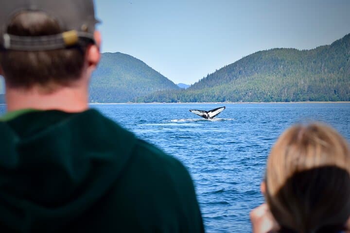 Juneau Whale-Watching: 3.5-Hour Small-Group Catamaran Tour photo 5