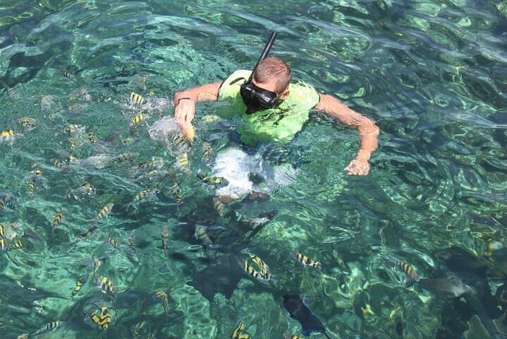 Rose Island Sailing & Snorkeling — Half-Day All-Inclusive Trip from Nassau photo 2