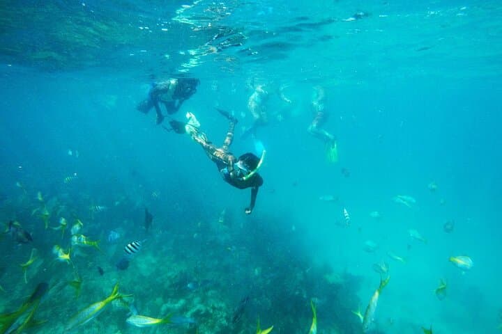 Rose Island Sailing & Snorkeling — Half-Day All-Inclusive Trip from Nassau photo 3