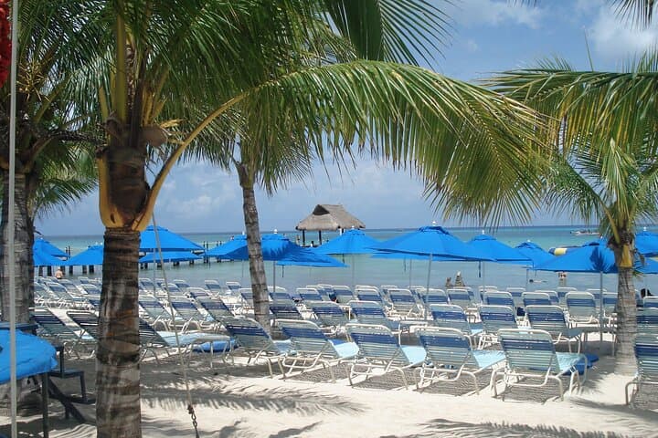 El Cielo & Cozumel Reefs: Full-Day Snorkel to Palancar, Colombia and Cielo photo 4