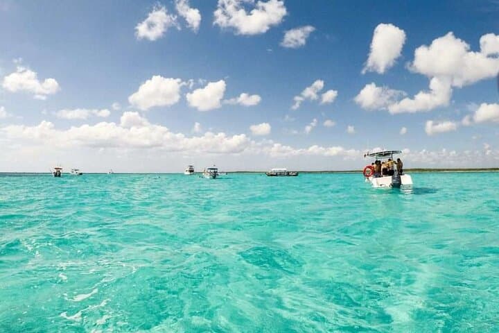 El Cielo & Cozumel Reefs: Full-Day Snorkel to Palancar, Colombia and Cielo photo 6