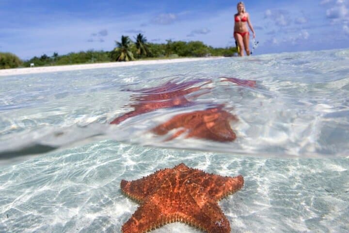 El Cielo & Cozumel Reefs: Full-Day Snorkel to Palancar, Colombia and Cielo