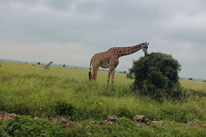 Mount Longonot Crater Hike: Private Day Tour from Nairobi photo 2