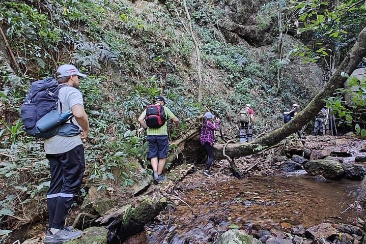 Full-Day Doi Saket Jungle Hike: Waterfalls, Hill Tribes & Medicinal Plants