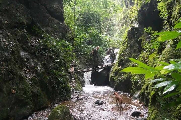 Full-Day Doi Saket Jungle Hike: Waterfalls, Hill Tribes & Medicinal Plants photo 4