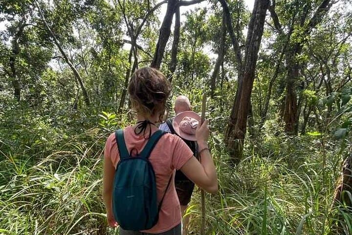 Full-Day Doi Saket Jungle Hike: Waterfalls, Hill Tribes & Medicinal Plants photo 5
