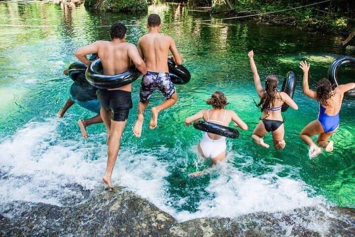 Blue Lagoon & Eden on the River: Half-Day Swim Tour from Port Vila