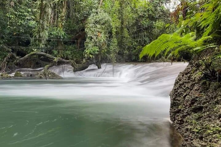 Blue Lagoon & Eden on the River: Half-Day Swim Tour from Port Vila photo 2