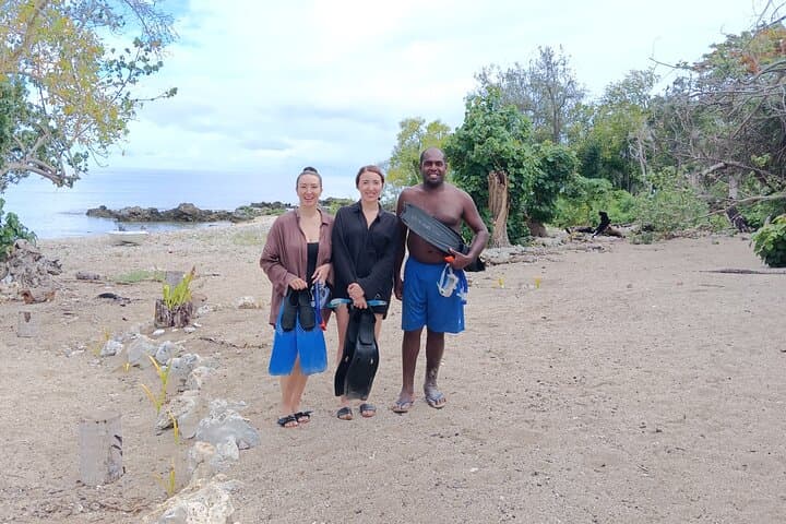 Snorkel with Turtles at Back to Eden, Port Vila — Yumi Tours photo 2