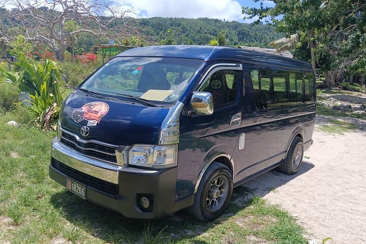 Snorkel with Turtles at Back to Eden, Port Vila — Yumi Tours photo 3