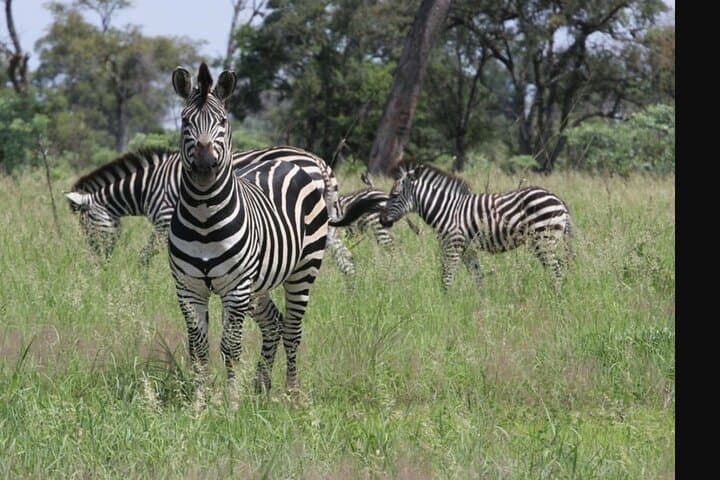 Mount Longonot Crater Hike: Private Day Tour from Nairobi photo 3