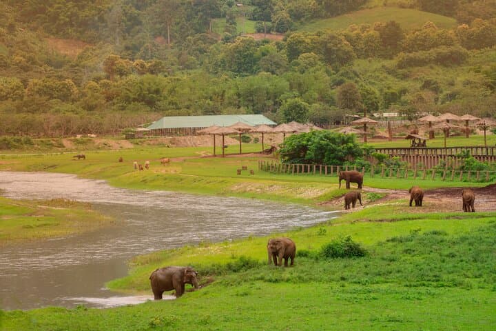 Mae Wang Elephant Sanctuary, Waterfall & Bamboo Rafting Day Trip from Chiang Mai photo 2