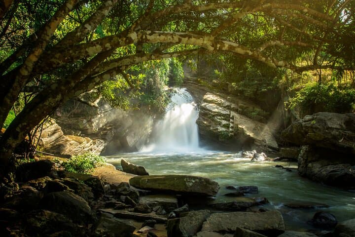 Mae Wang Elephant Sanctuary, Waterfall & Bamboo Rafting Day Trip from Chiang Mai photo 4