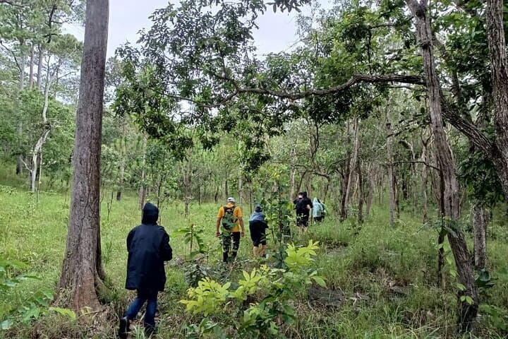 Kirirom National Park Day Hike: Pine Forest Trails, Waterfalls & Cardamom Views photo 4