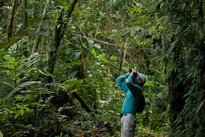Andes-to-Amazon: 5-Day Cloud-Forest to Tambopata Jungle Expedition photo 2
