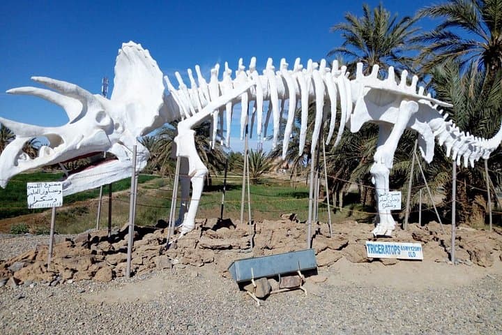 Atlas to Sahara: Agadir Inclusive Journey Through Morocco's Mountains and Dunes photo 3