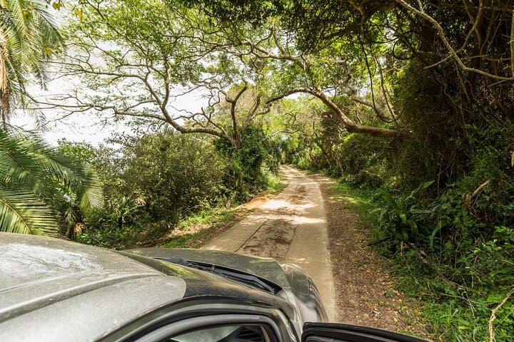 Private ATV Adventure in St Lucia: Forest Trails, River Crossings & Sugar Mill Ruins photo 2