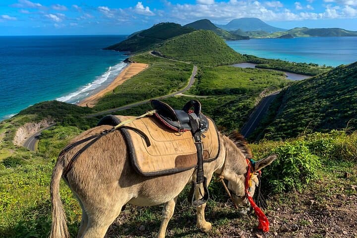 Private Horseback Ride to Cas en Bas Beach — St Lucia Shore Excursion