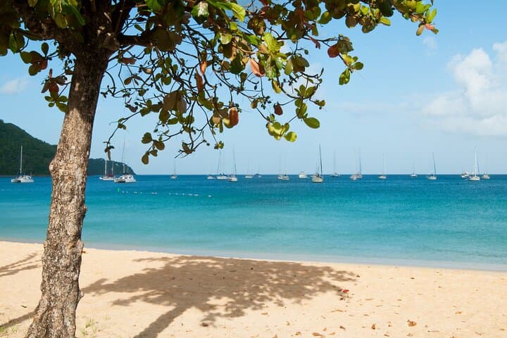 Private Horseback Ride to Cas en Bas Beach — St Lucia Shore Excursion photo 6