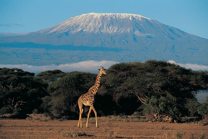 Summit Mount Kilimanjaro via Machame Route: 7-Day Itinerary and Practical Guide photo 3