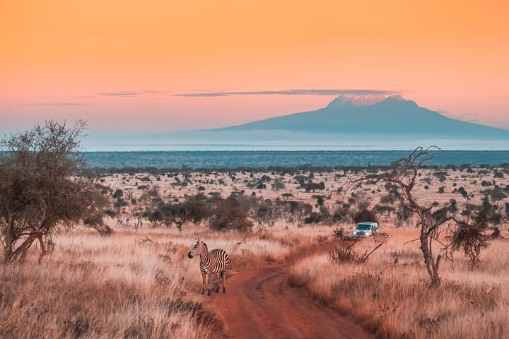 6-Day Kilimanjaro Climb: Rongai Route Guide to Uhuru Peak